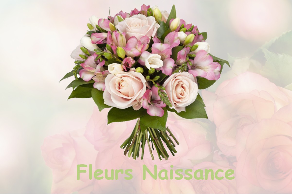 fleurs naissance CASTANET-LE-HAUT